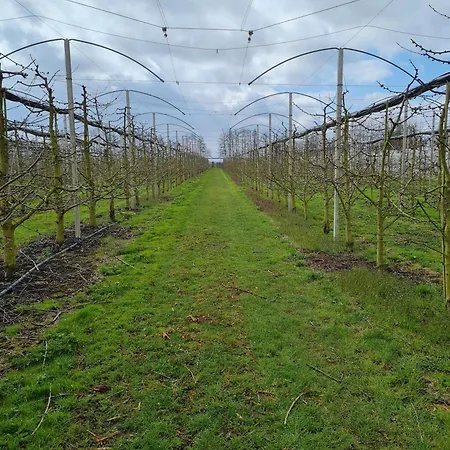 Annegret Schuback * جورك