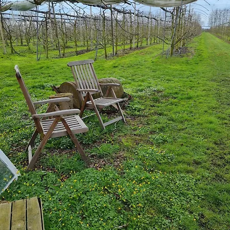 مزرعة للإقامة Annegret Schuback