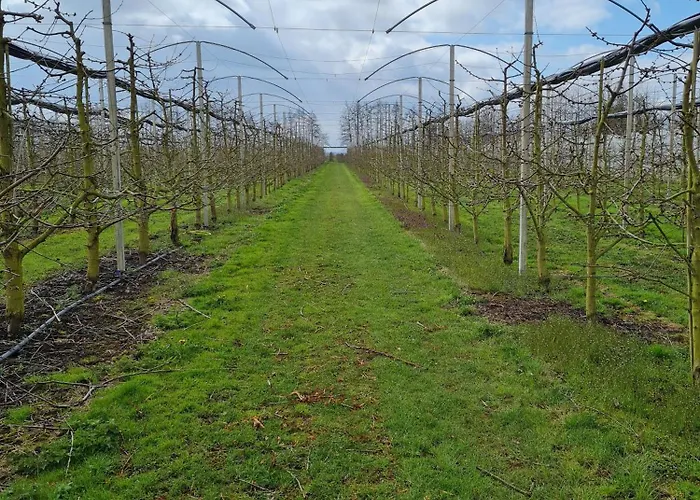 Annegret Schuback * Jork